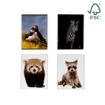 Caiet A5, 48 file, 80gsm, coperta carton 300gsm, design animals - dictando