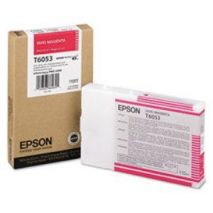 Epson Cartus cerneala C13T605300 Cartus T605300