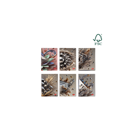 Caiet A5, 48 file, 80gsm, coperta carton 300gsm, design 3D arts - dictando