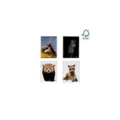 Caiet A5, 48 file, 80gsm, coperta carton 300gsm, design animals - dictando