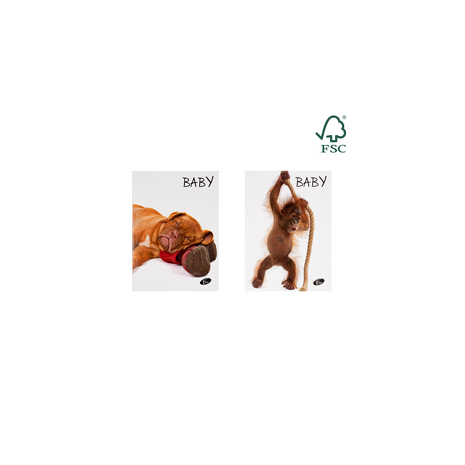 Caiet tip 1