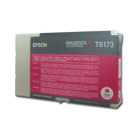 Epson Cartus cerneala C13T617300 Cartus T617300