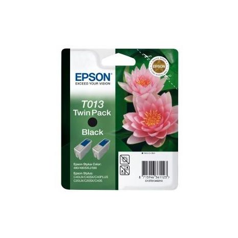 Epson Cartus cerneala C13T01340210 Cartus T01340210 x 2