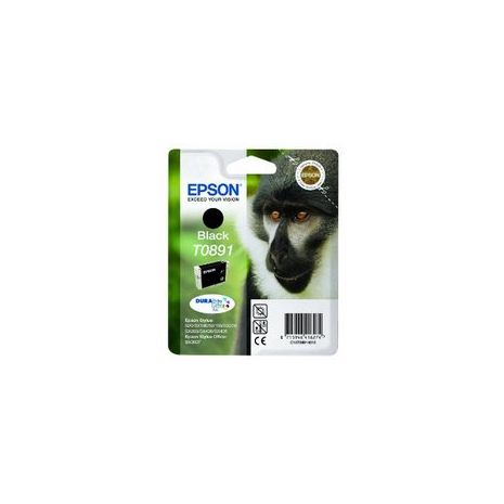 Epson Cartus cerneala T0891 Cartus C13T08914010