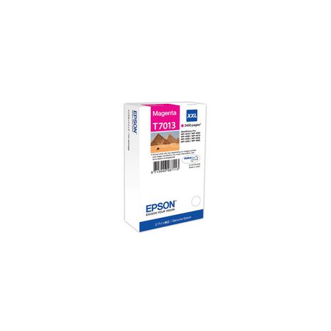 Epson Cartus cerneala T7013 Cartus C13T70134010