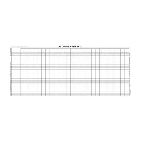 Document cumulativ, 1/A3, tipar fata, 100 file/carnet